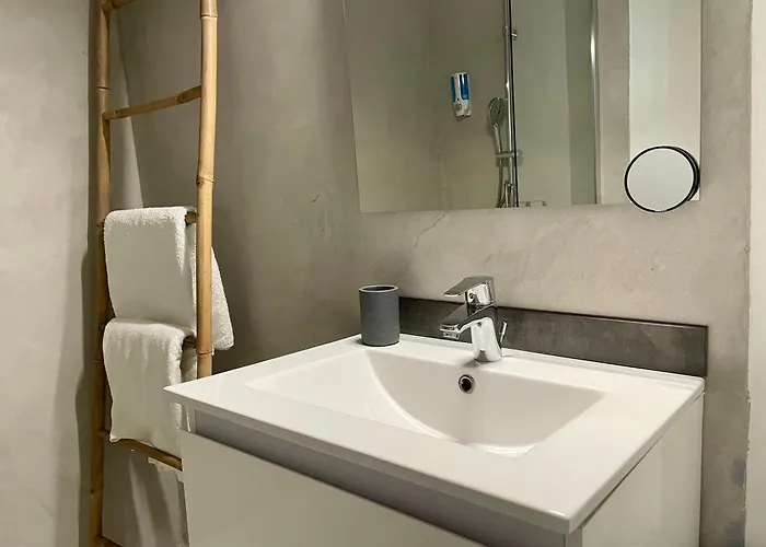 Apartament Paisible Hyper Centre Vichy